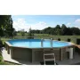 Piscina Naturalis Ovalada 787x472 cm