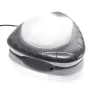 Luz Led 4 Colores Magnética para Piscinas Intex 28698