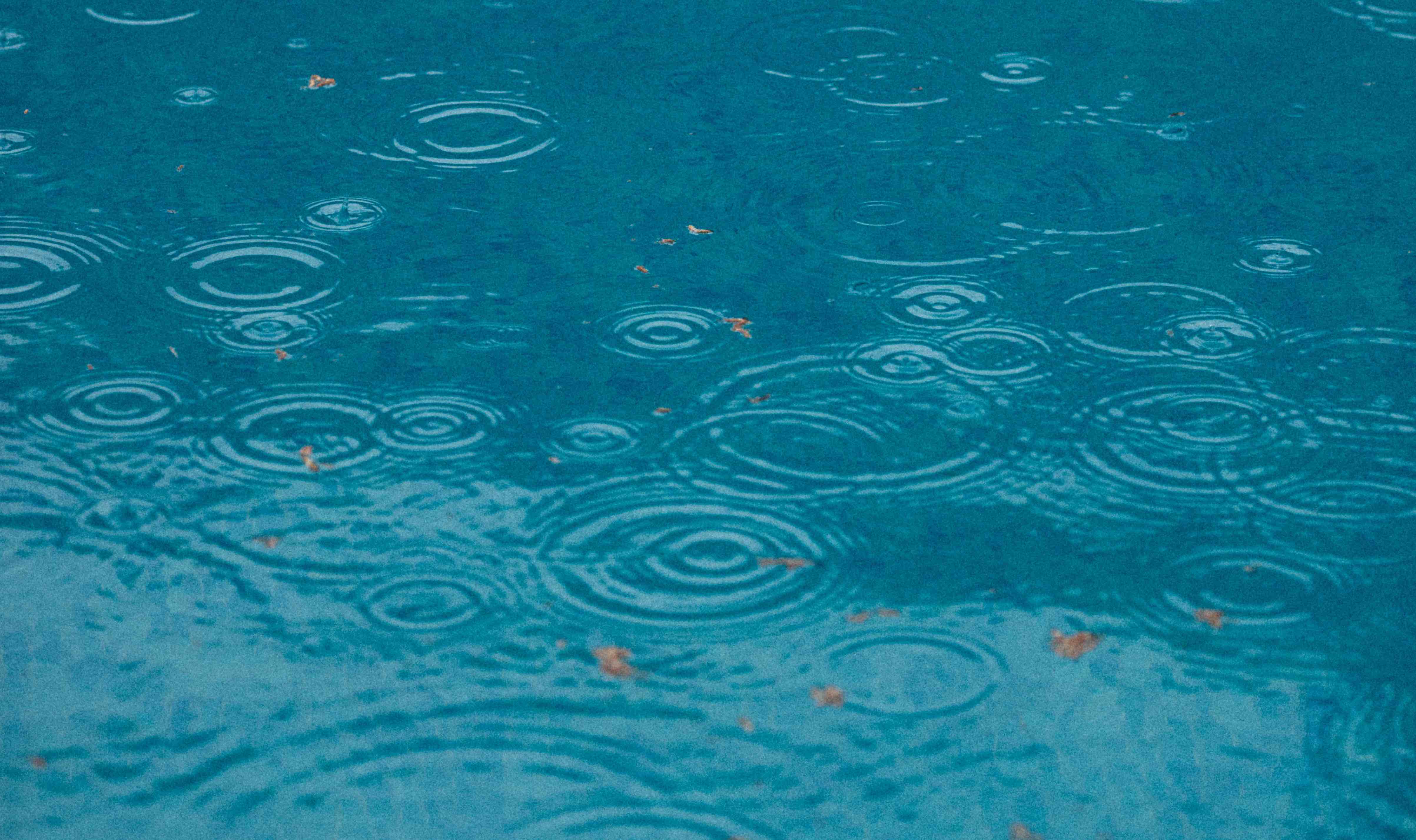 ¿Cómo resguardar tu piscina de la lluvia?