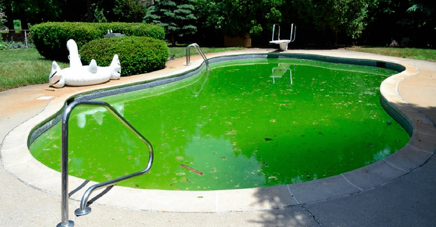 Cómo eliminar las algas en la piscina