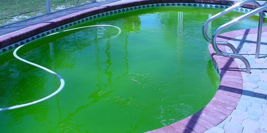 ¿Por qué el agua de la piscina está verde?