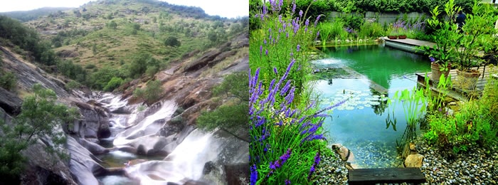Las piscinas naturales la alternativa sostenible Piscinas Naturales